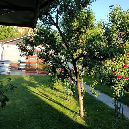 Апартаменти Casa Ienciu Сібіу Екстер'єр фото